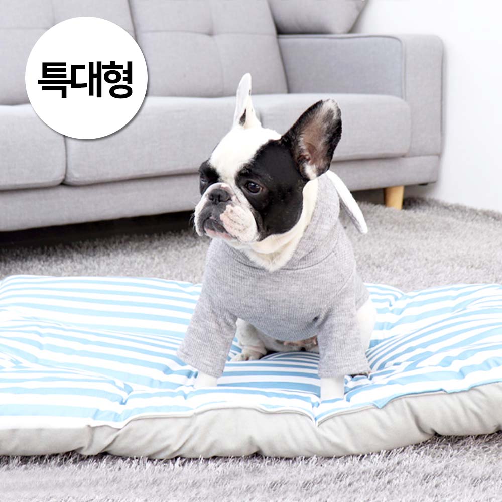 1697158427 thumbnail