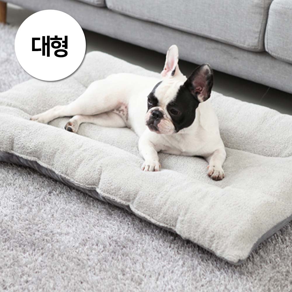 1697158429 thumbnail