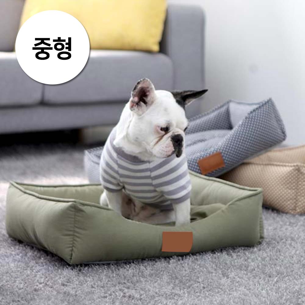 1697158433 thumbnail