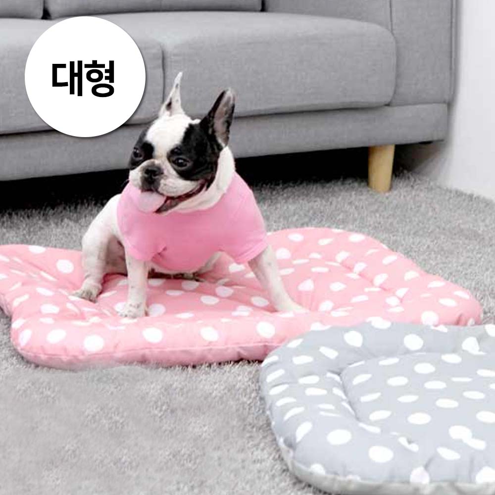 1697158439 thumbnail