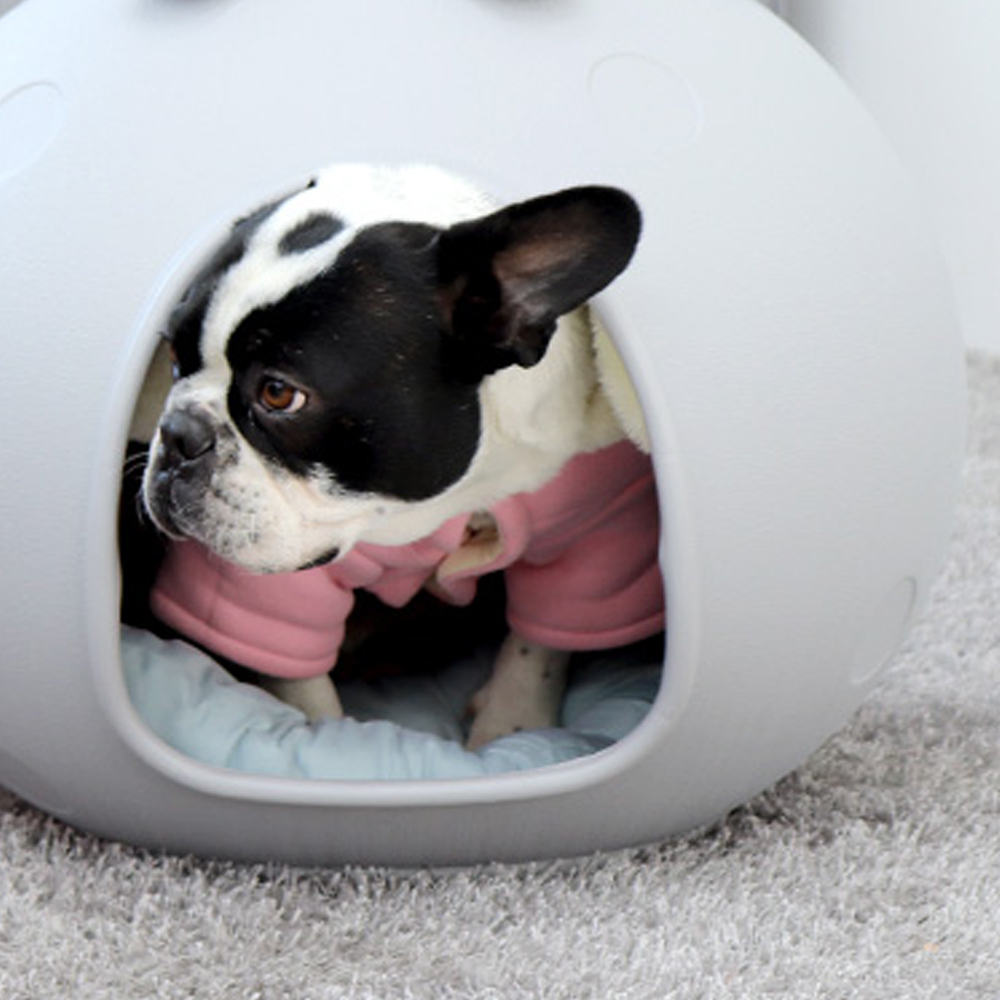 1697158442 thumbnail