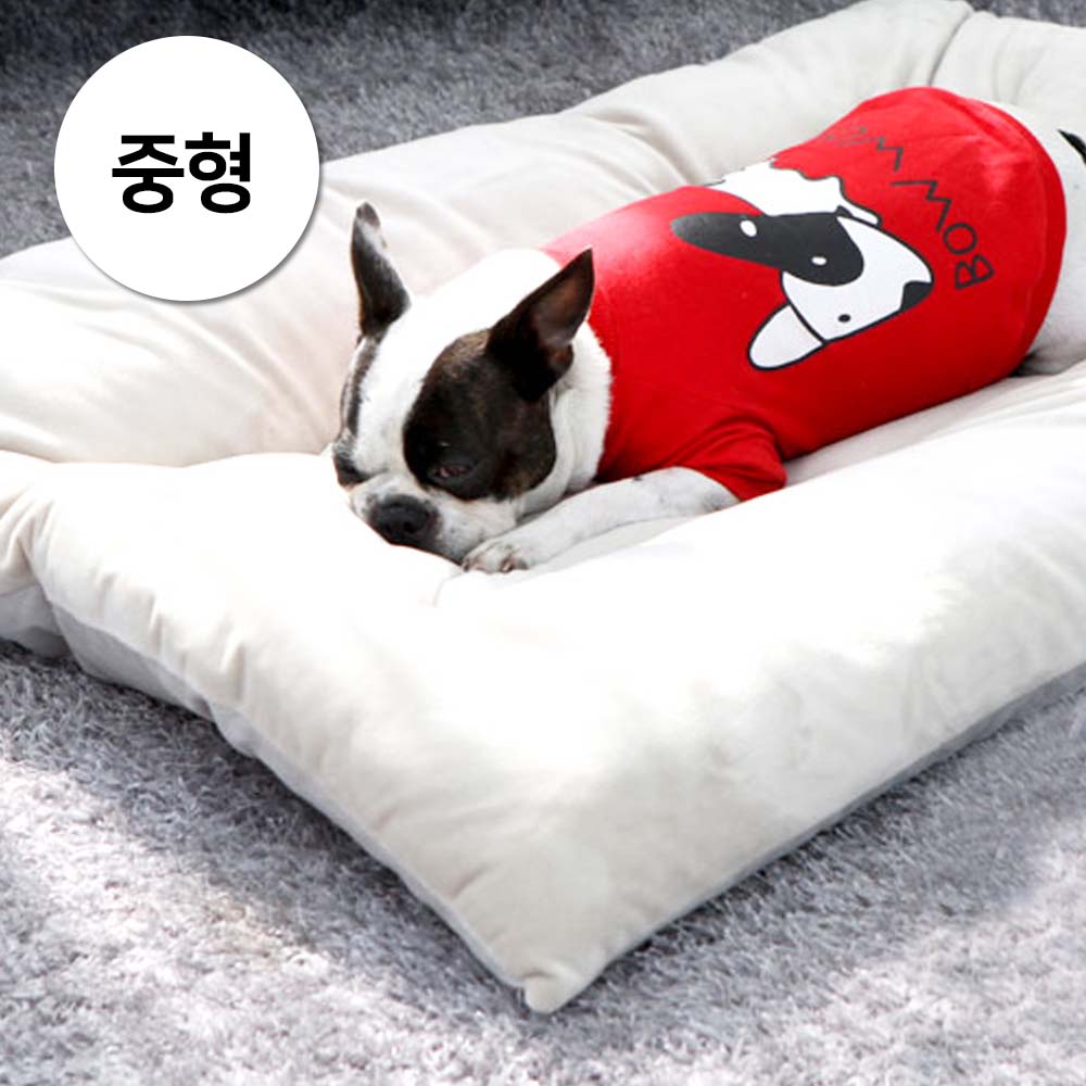 1697158445 thumbnail