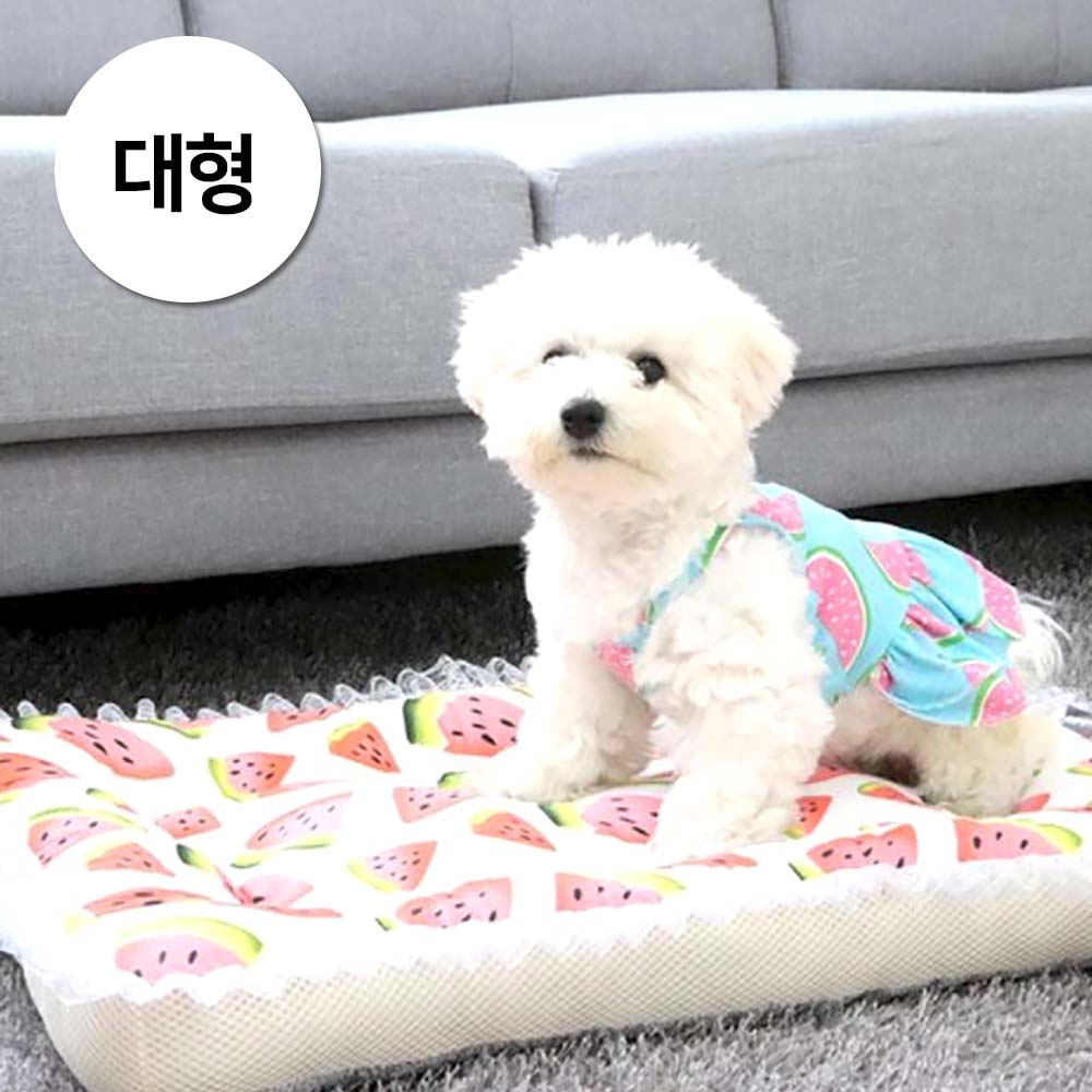 1697158449 thumbnail