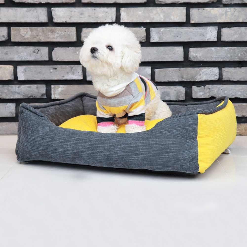 1697158453 thumbnail