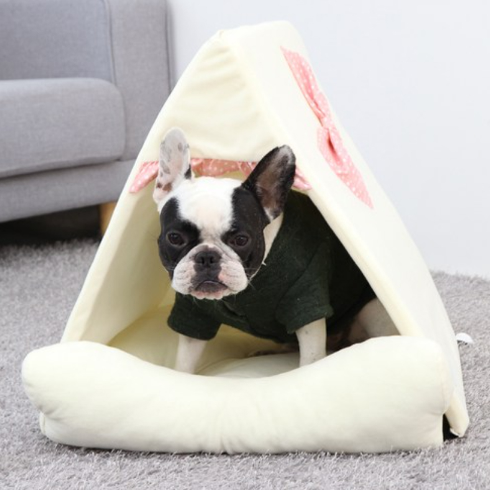 1697158454 thumbnail