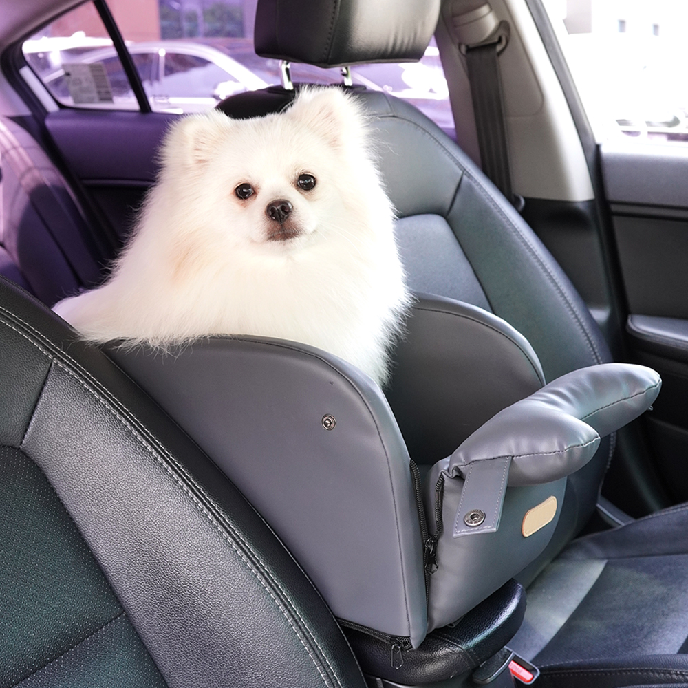 1697158458 thumbnail