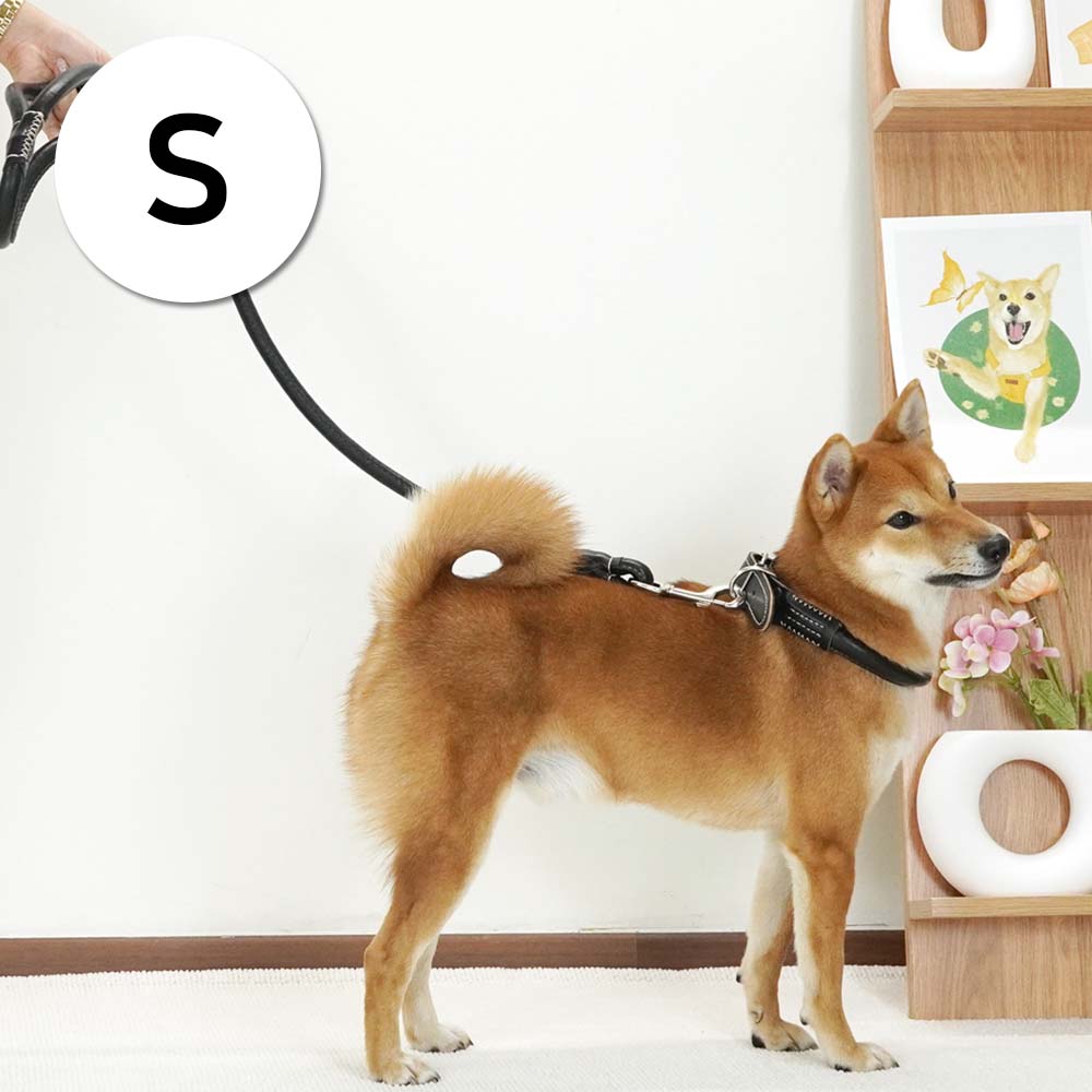 1697158459 thumbnail