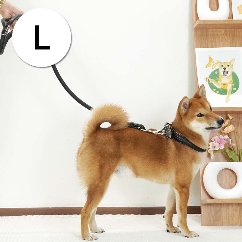 1697158461 thumbnail