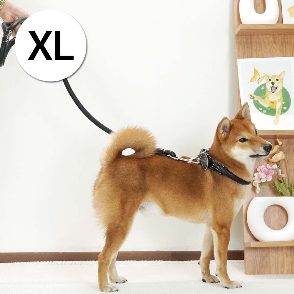 1697158462 thumbnail