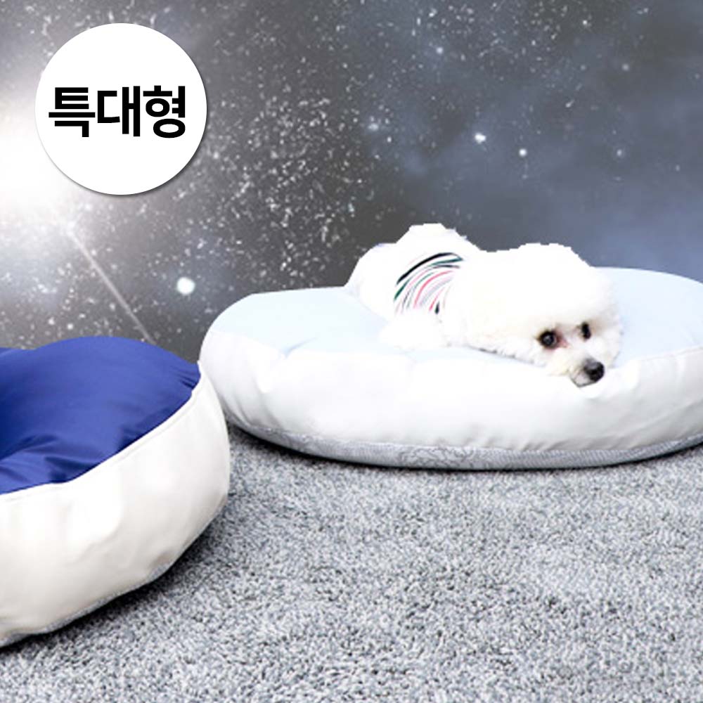 1697158464 thumbnail