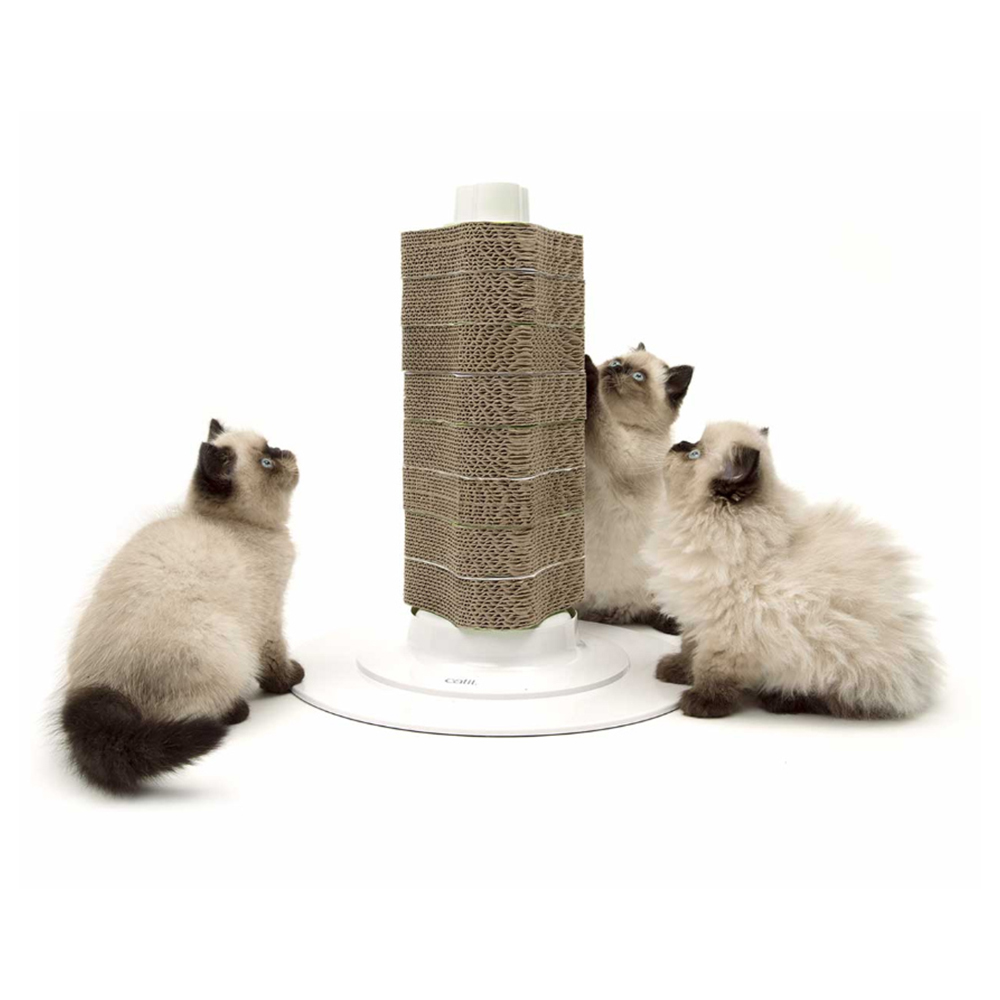 1697158465 thumbnail