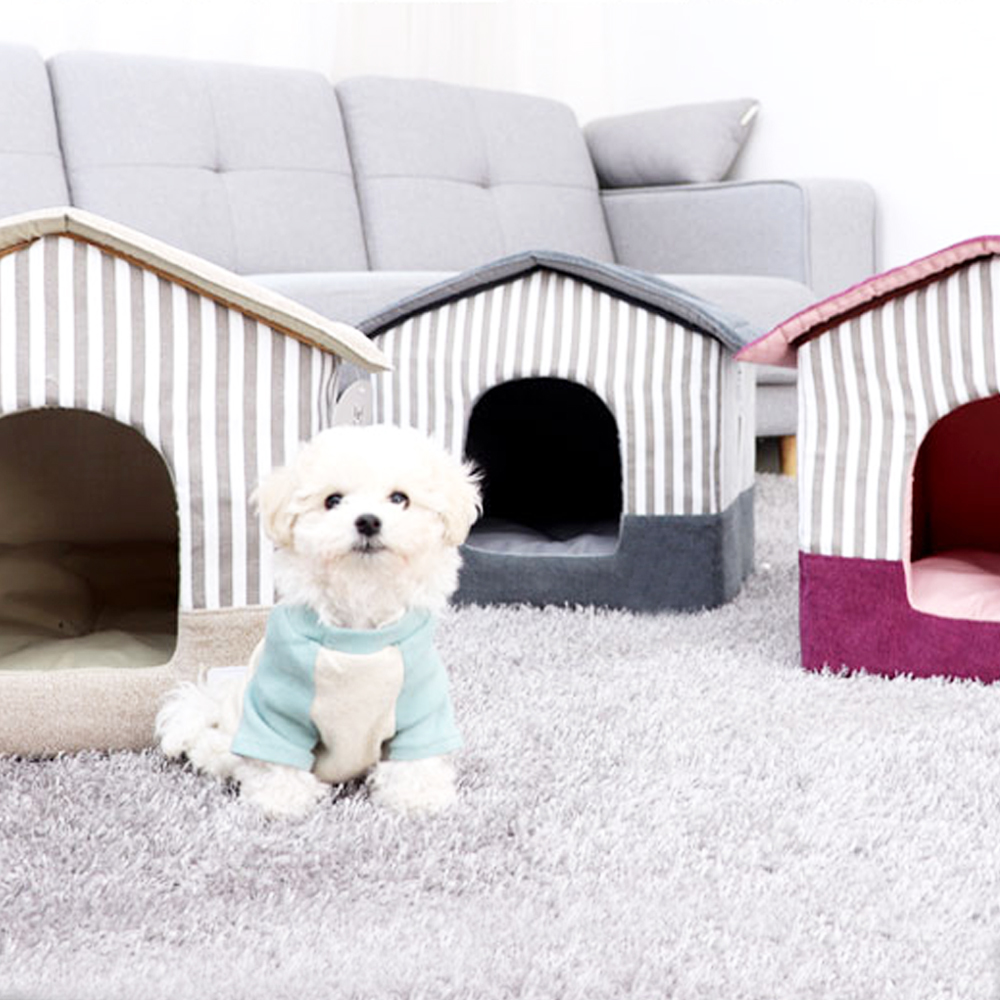 1697158469 thumbnail