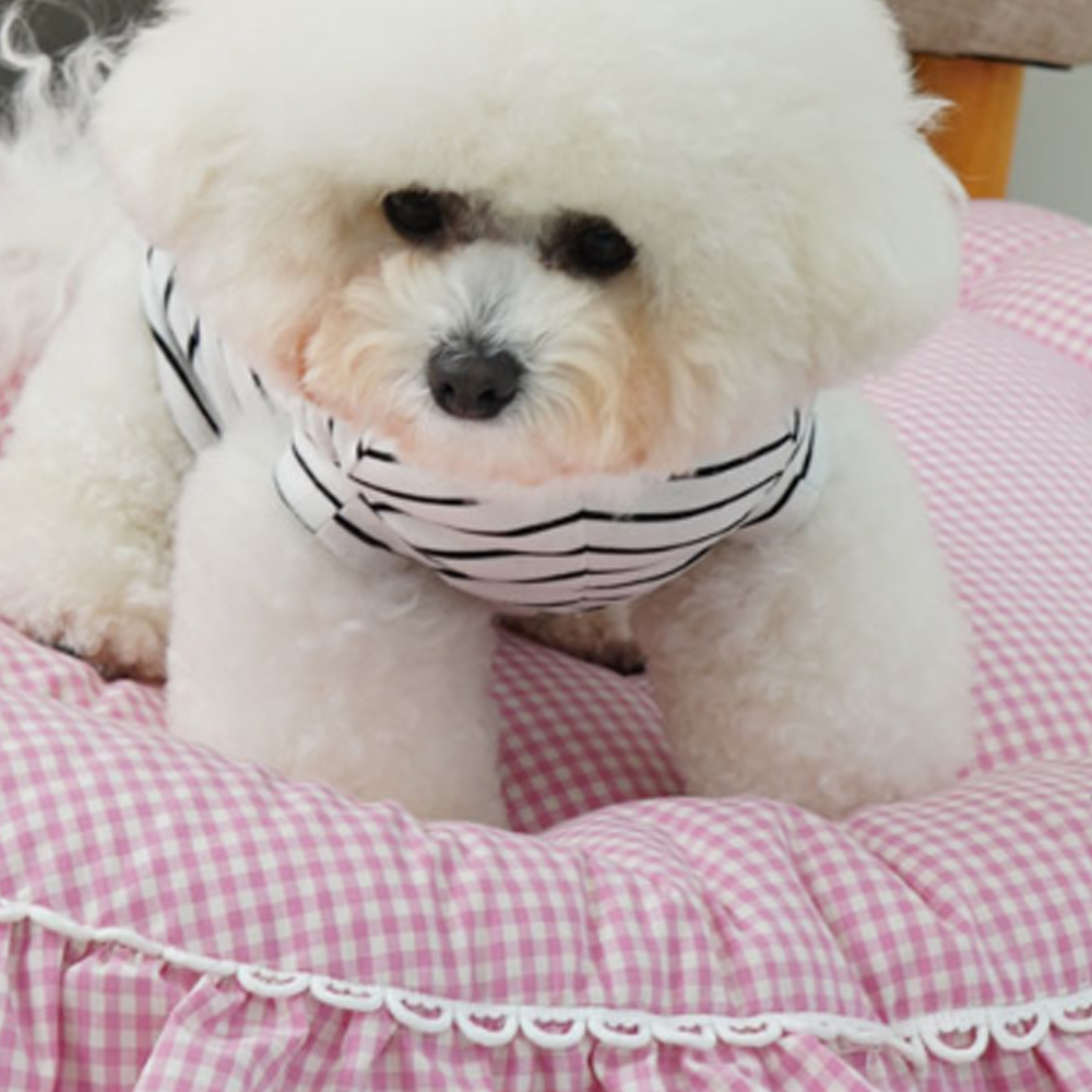 1697158471 thumbnail