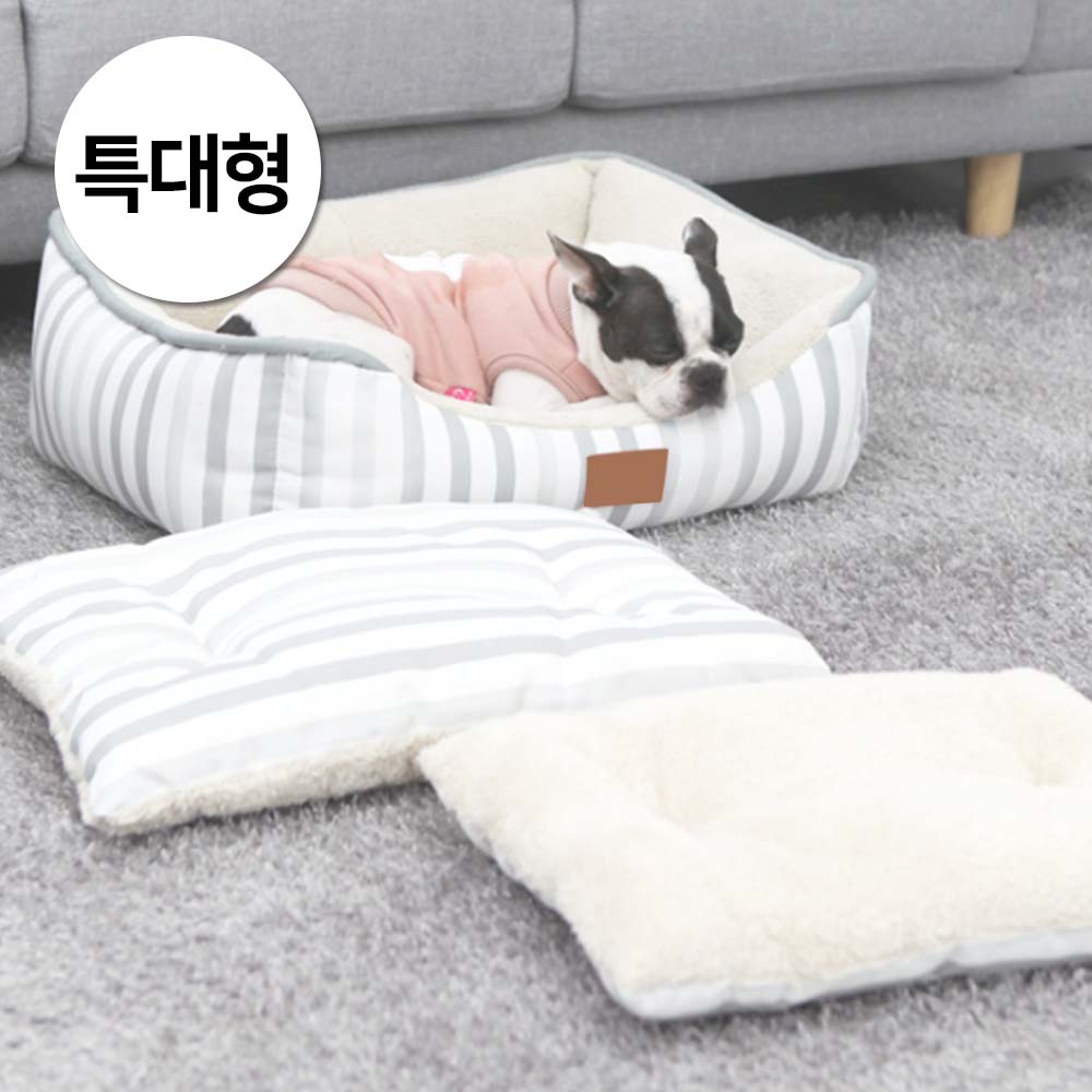 1697158482 thumbnail