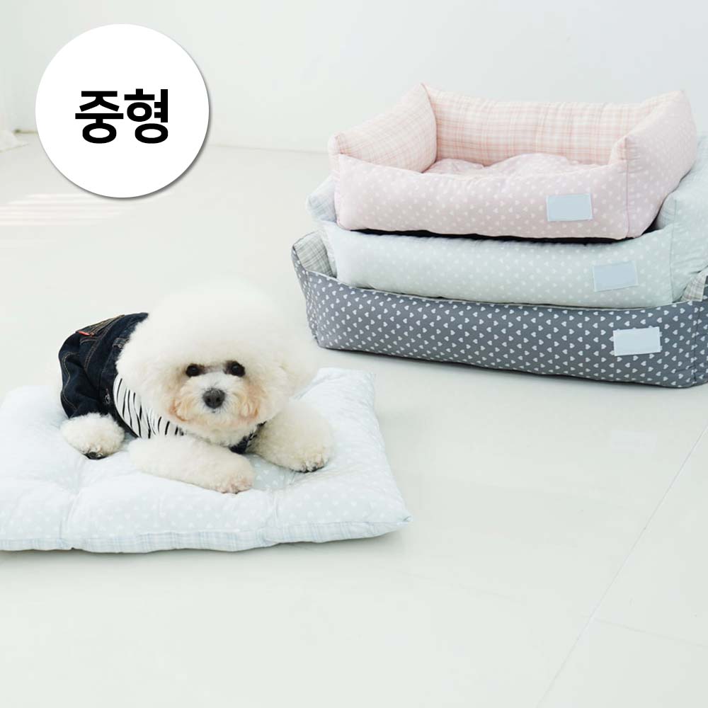 1697158489 thumbnail