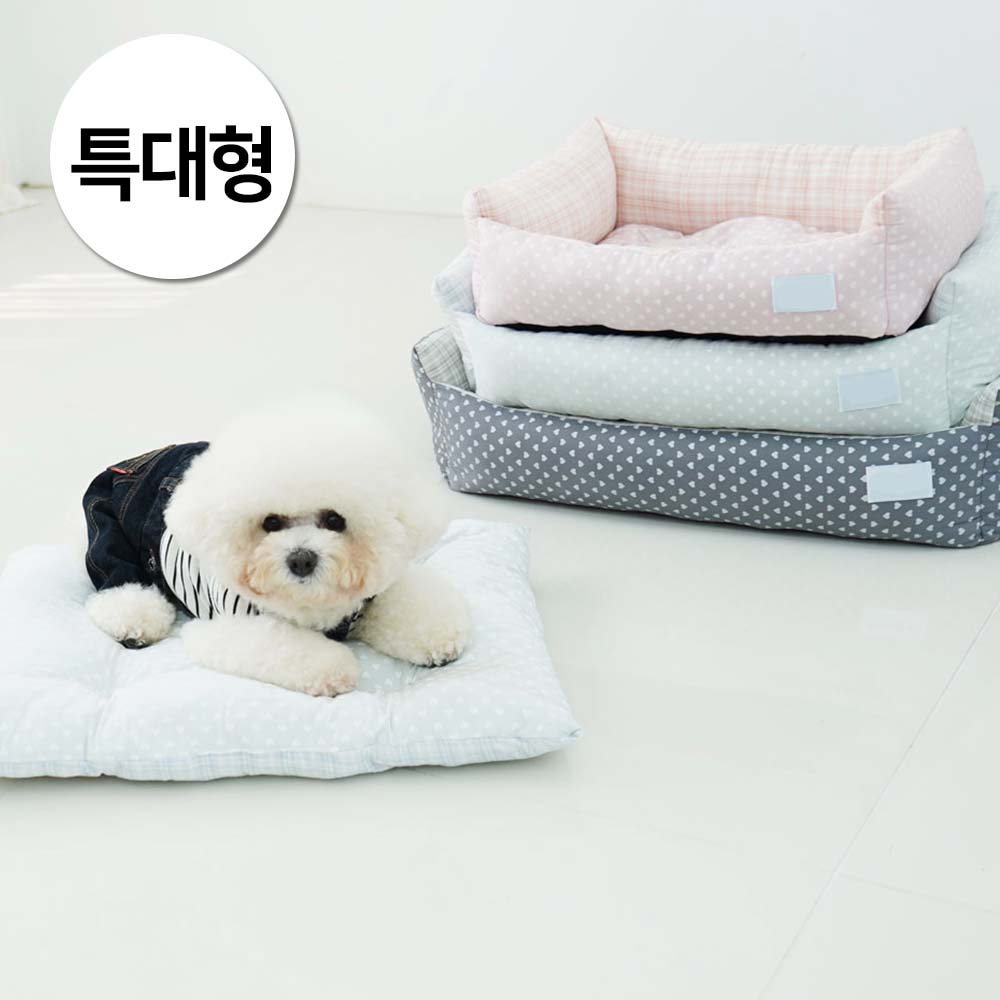 1697158491 thumbnail