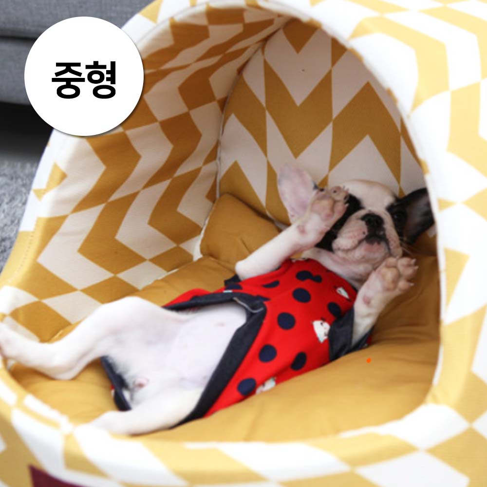 1697158492 thumbnail