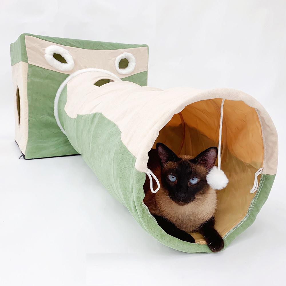 1697158494 thumbnail