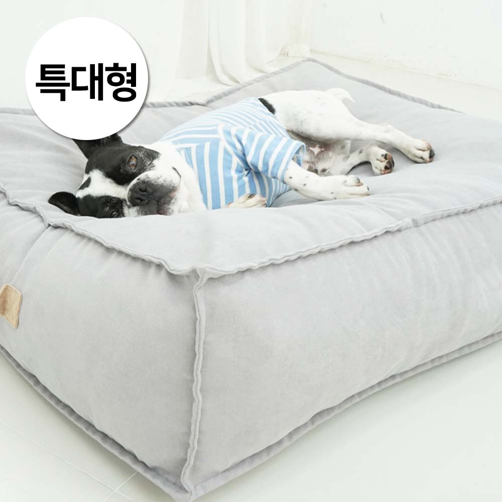 1697158496 thumbnail