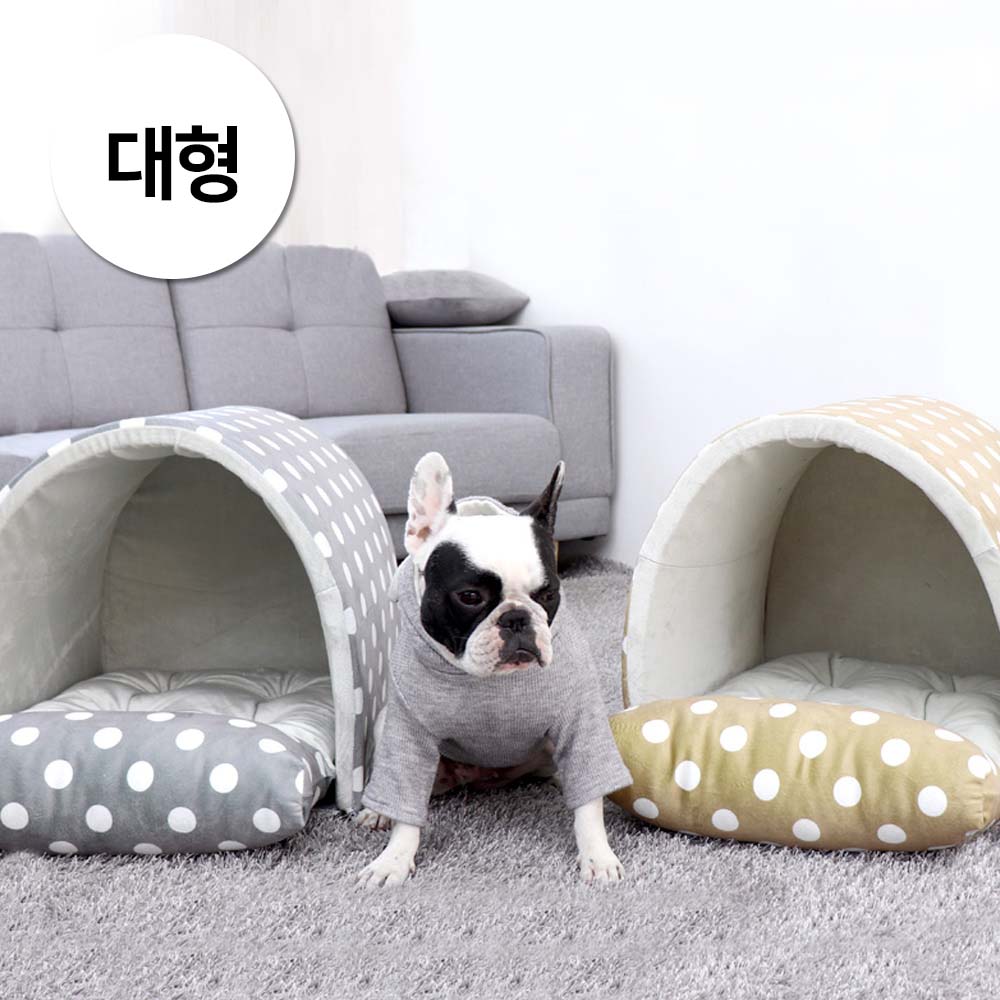 1697158497 thumbnail