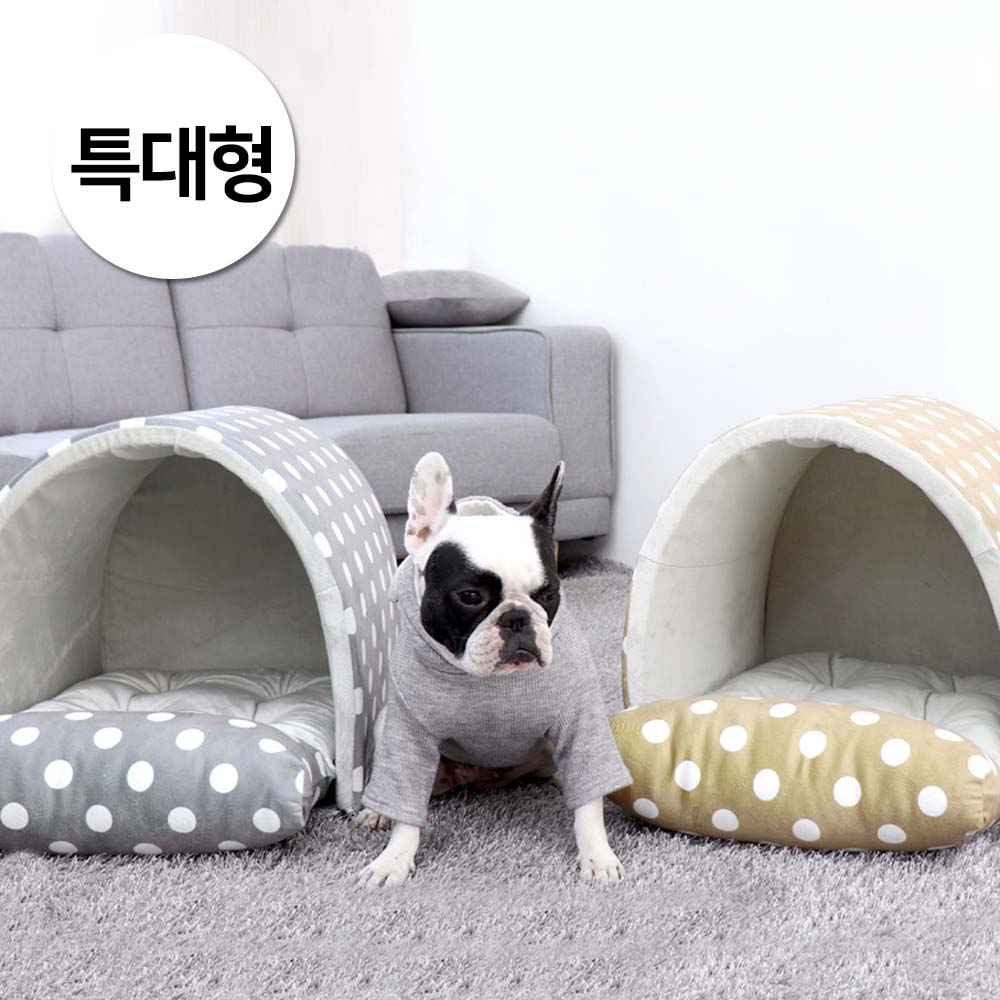 1697158498 thumbnail