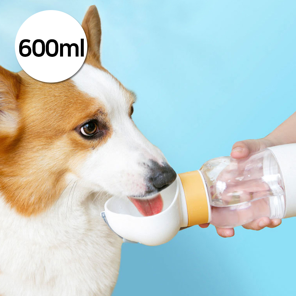 1697158500 thumbnail