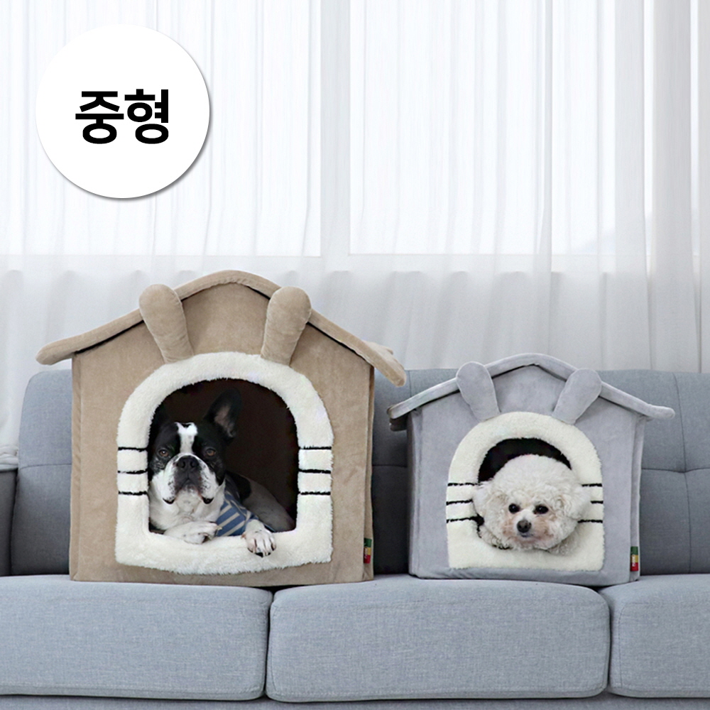 1697158503 thumbnail