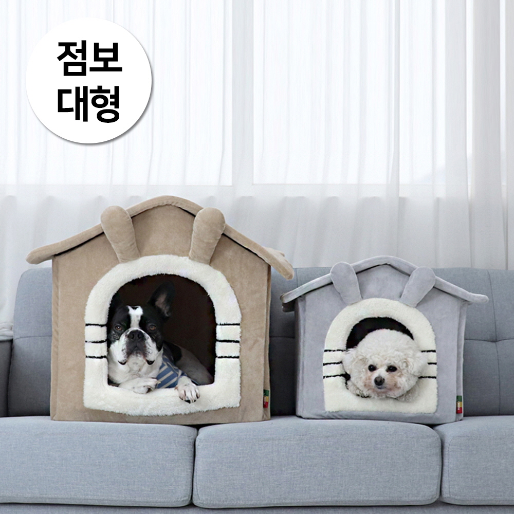 1697158504 thumbnail