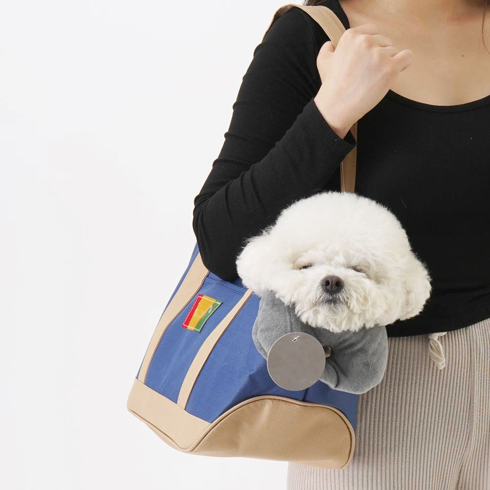 1697158508 thumbnail