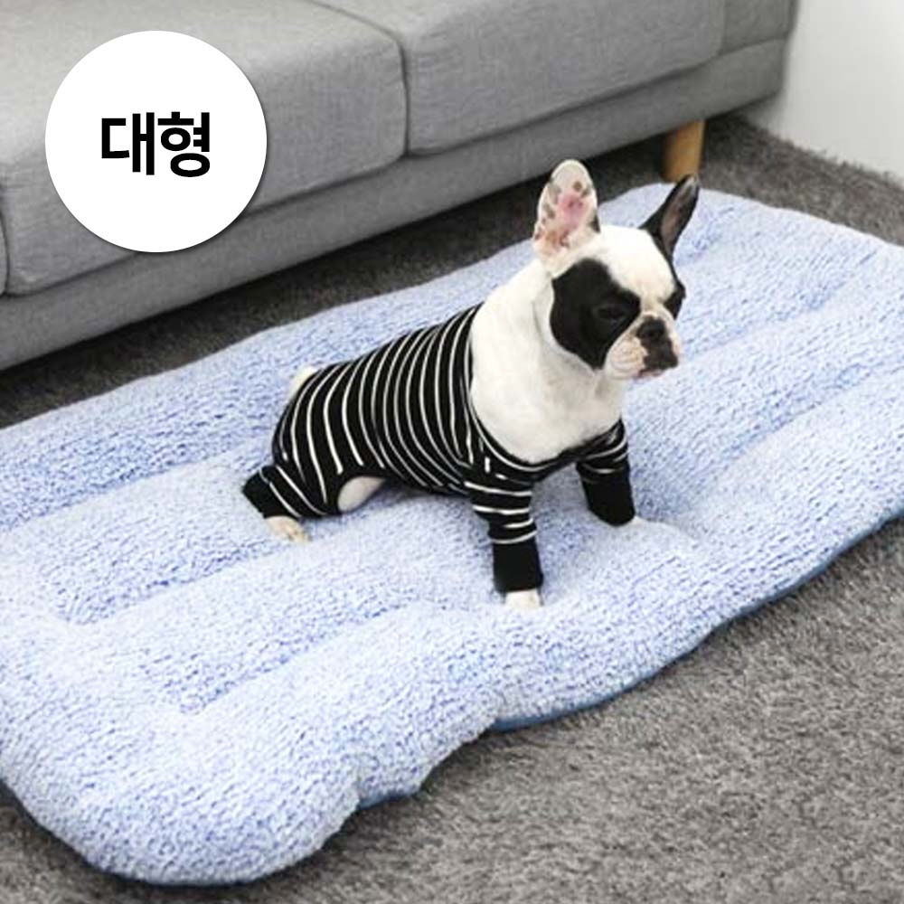 1697158511 thumbnail