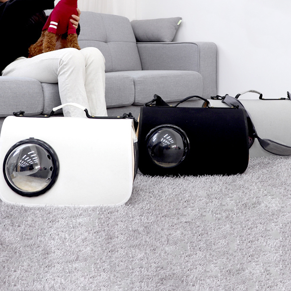 1697158515 thumbnail