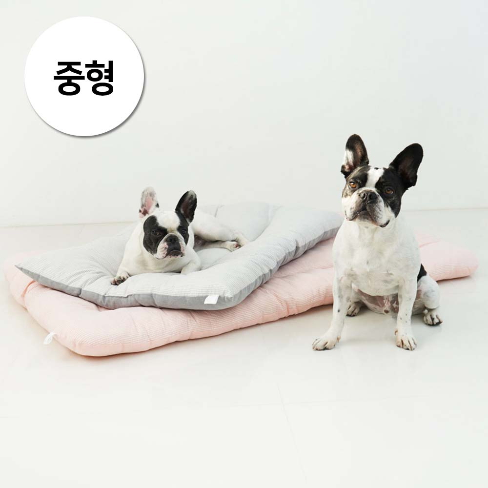 1697158518 thumbnail