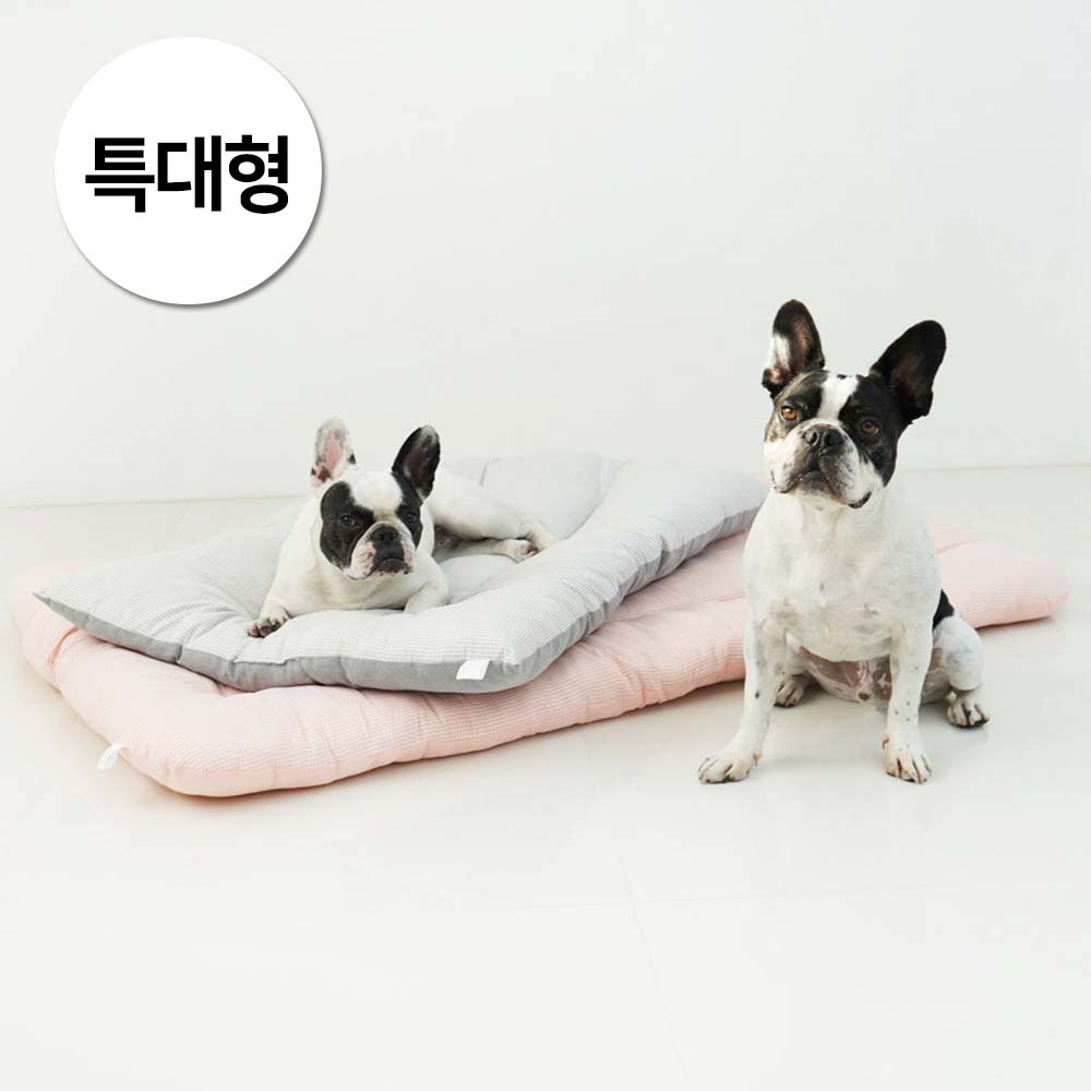 1697158520 thumbnail