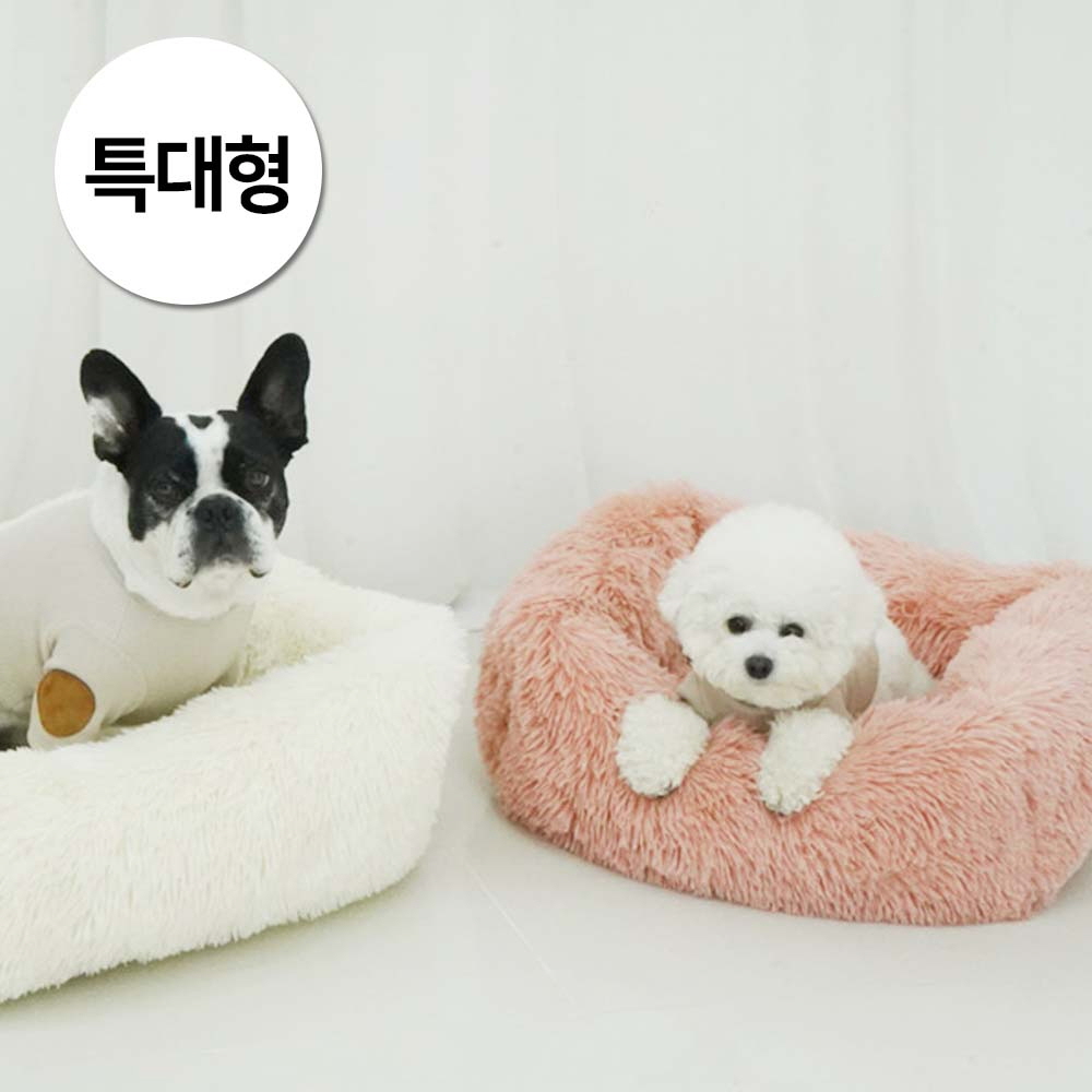 1697158524 thumbnail