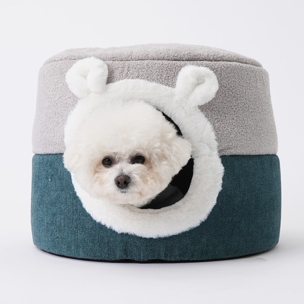 1697158526 thumbnail