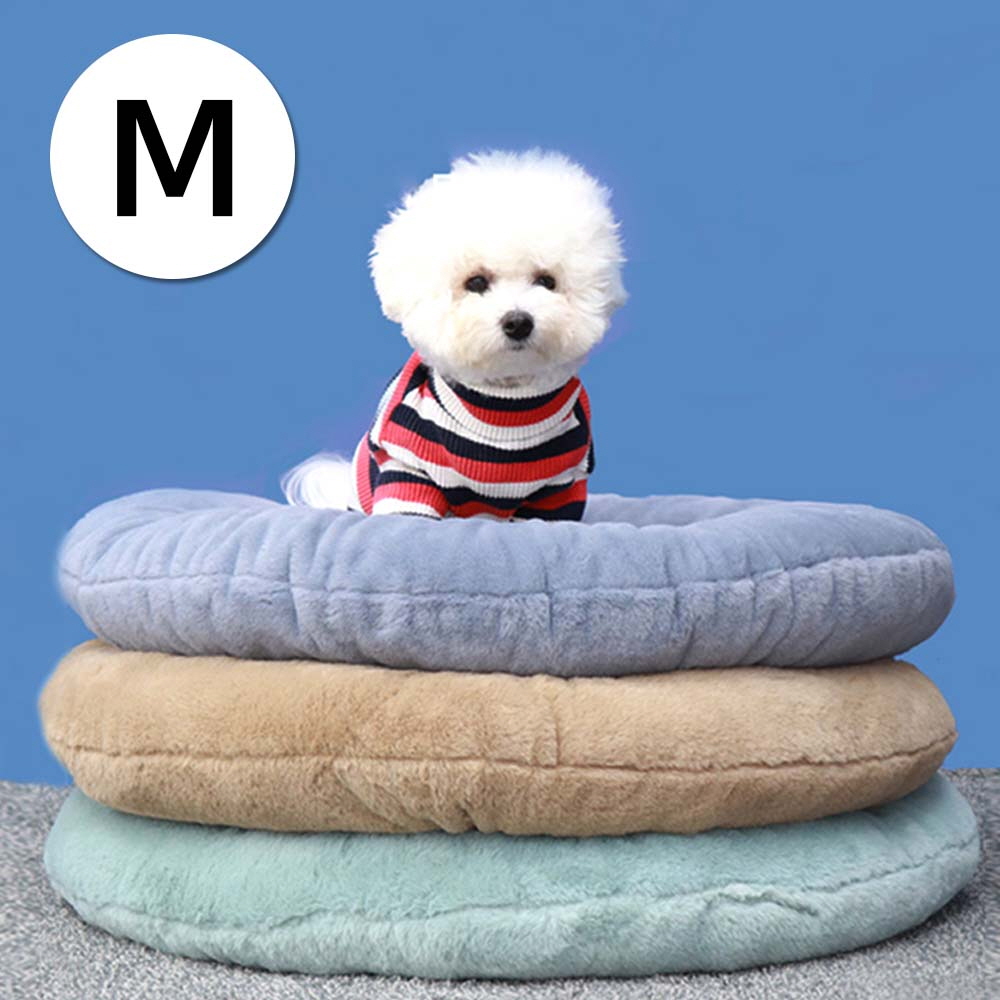 1697158528 thumbnail