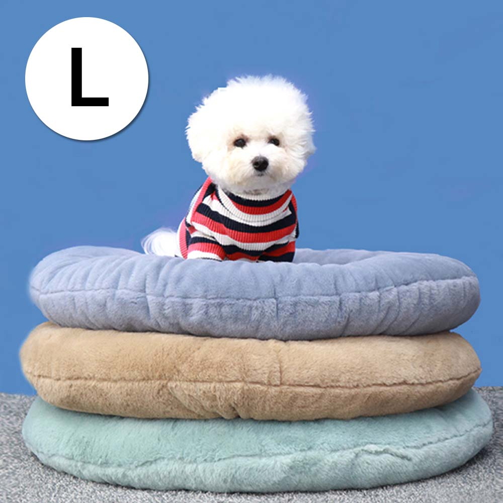 1697158529 thumbnail