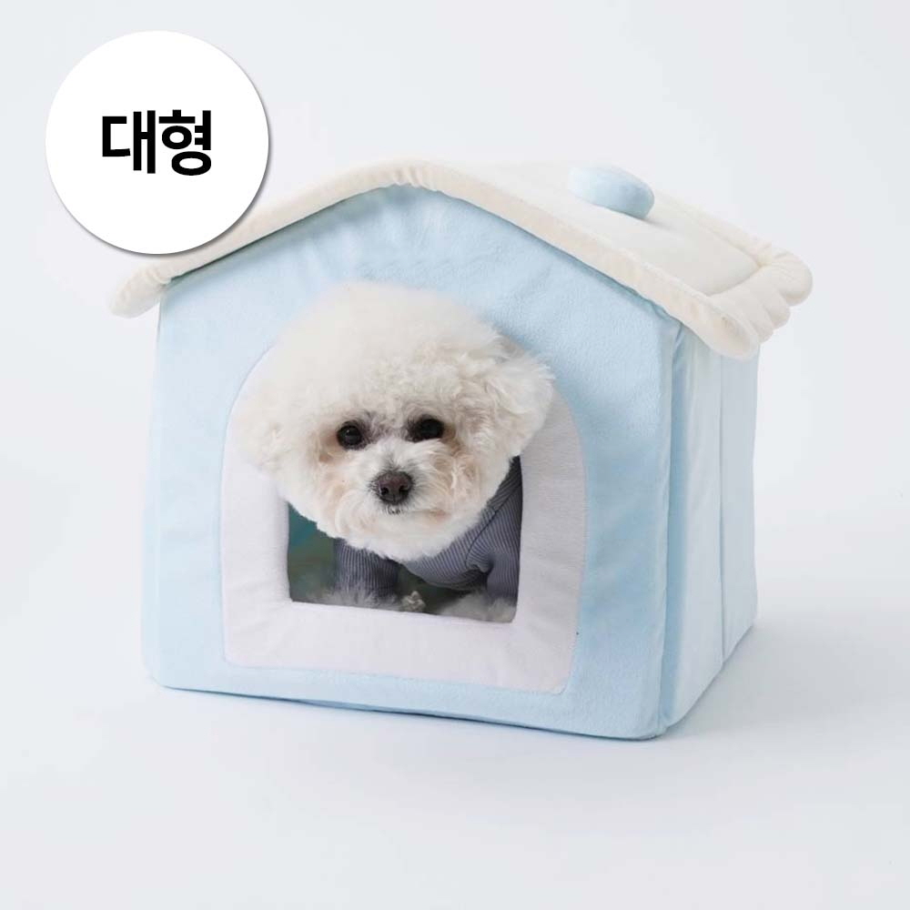 1697158531 thumbnail