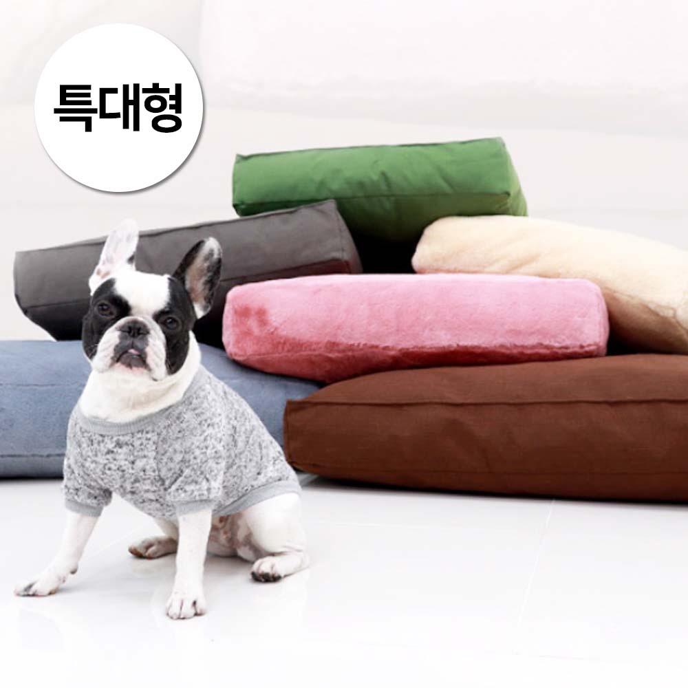 1697158534 thumbnail