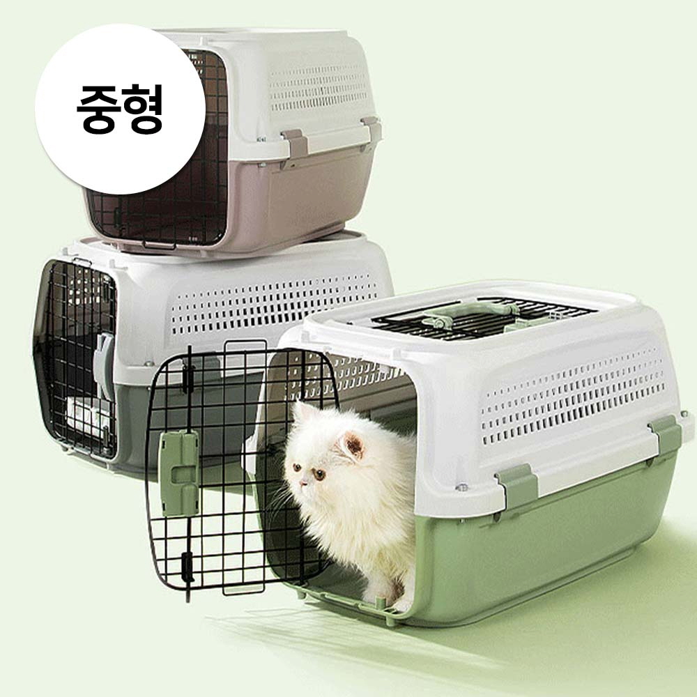 1697158536 thumbnail