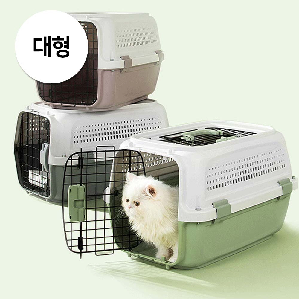 1697158537 thumbnail