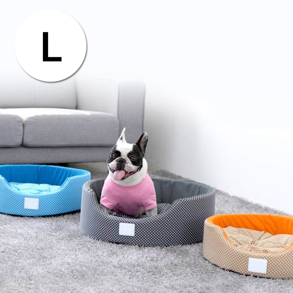 1697158539 thumbnail