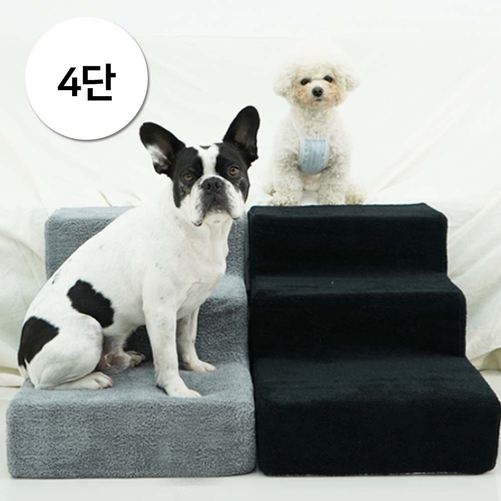 1697158548 thumbnail