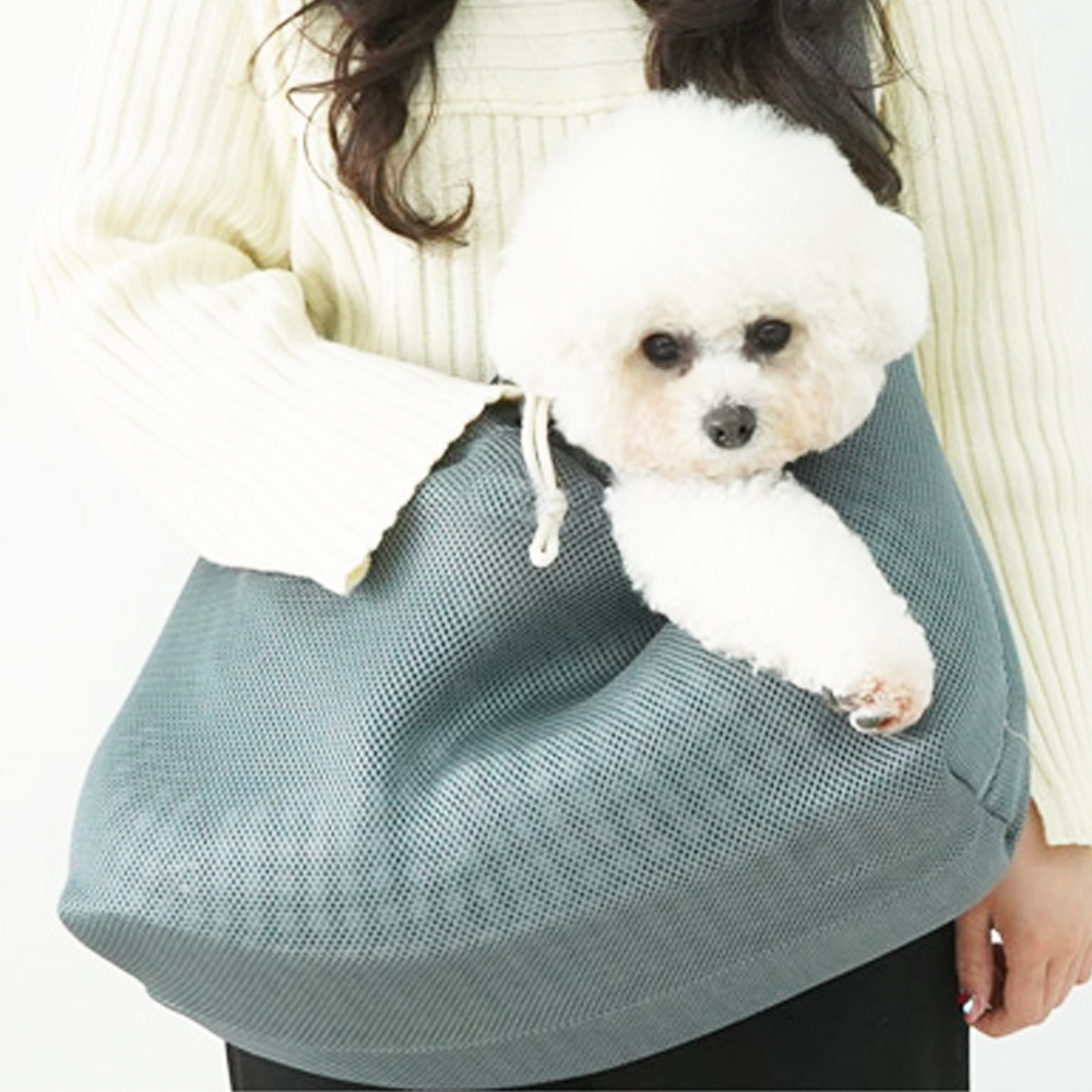 1697158549 thumbnail