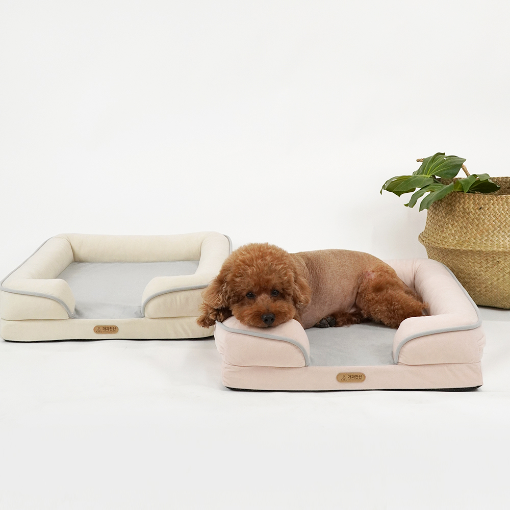 1697158550 thumbnail