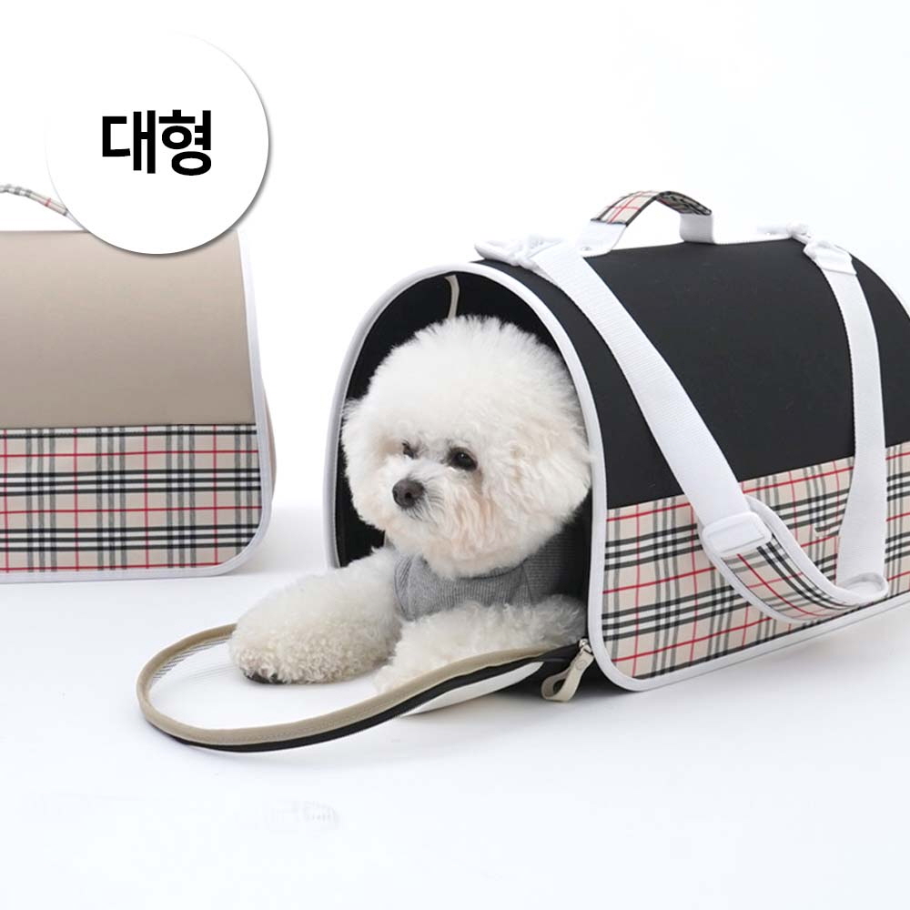 1697158551 thumbnail