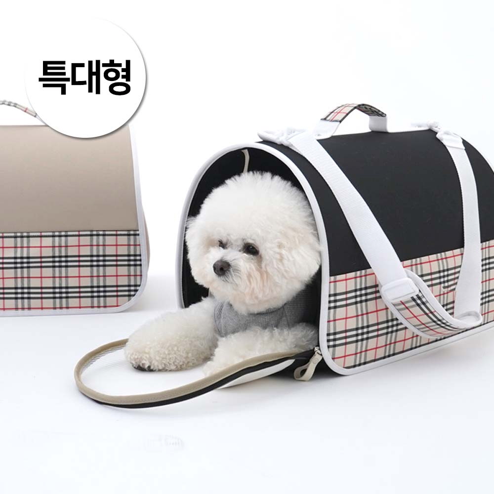 1697158552 thumbnail