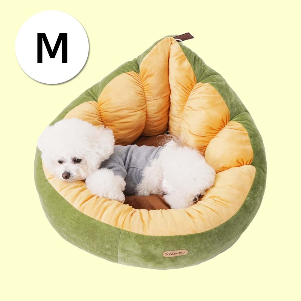 1697158553 thumbnail