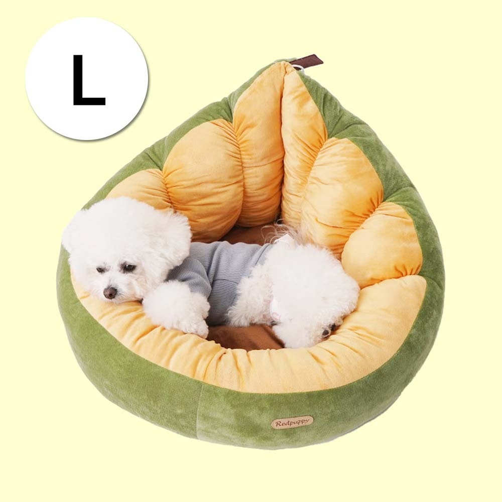 1697158554 thumbnail