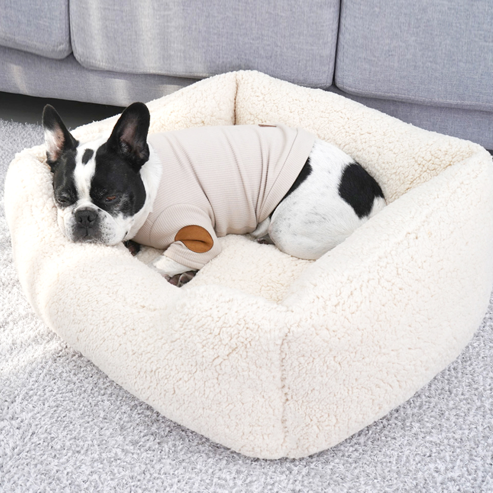 1697158555 thumbnail